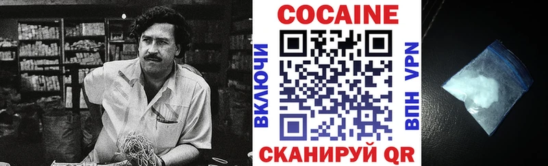 магазин продажи наркотиков  Каменск-Шахтинский  COCAIN Fish Scale 