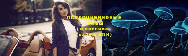 спиды Наволоки