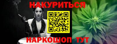 шишки Будённовск