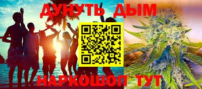 шишки Будённовск