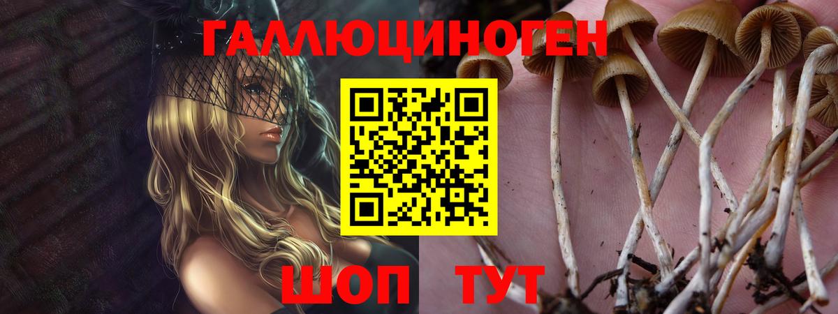 Псилоцибиновые грибы Psilocybine cubensis  Псилоцибиновые грибы ЛСД  Каменск-Шахтинский 