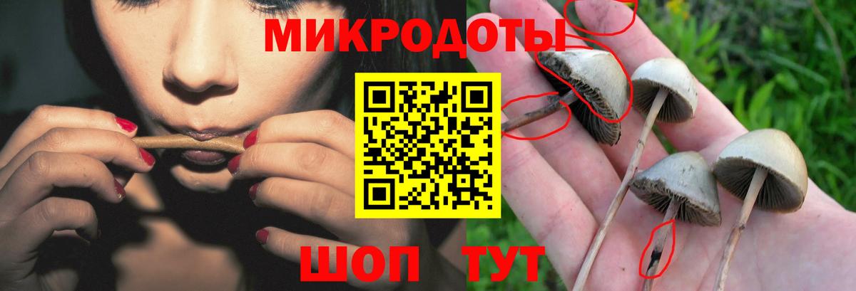 Псилоцибиновые грибы Psilocybine cubensis  Вход с VPN  Каменск-Шахтинский  Псилоцибиновые грибы Magic Shrooms 